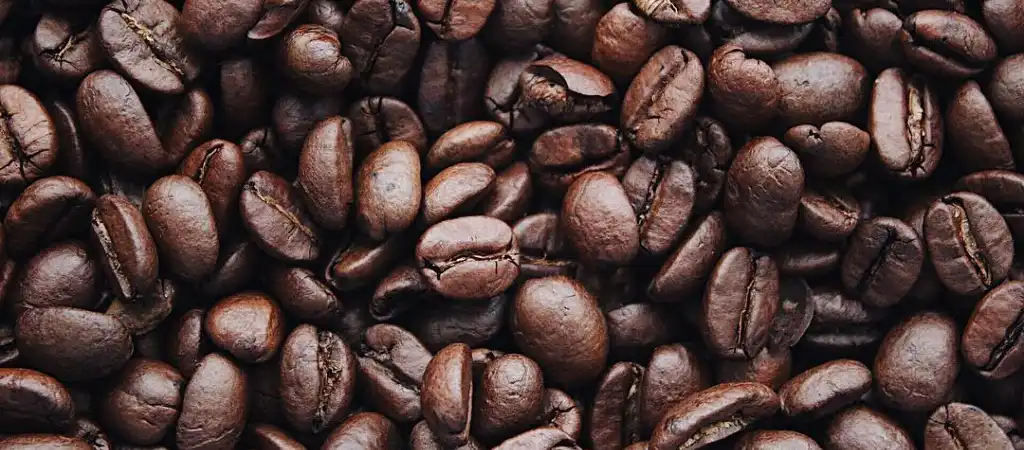 Who Makes Kirkland Pacific Bold Coffee? Who Makes Kirkland Pacific Bold Coffee